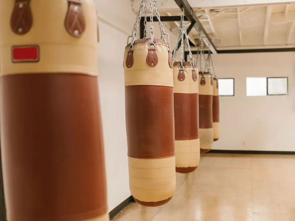 Row of leather punching bags in a bright boxing gym