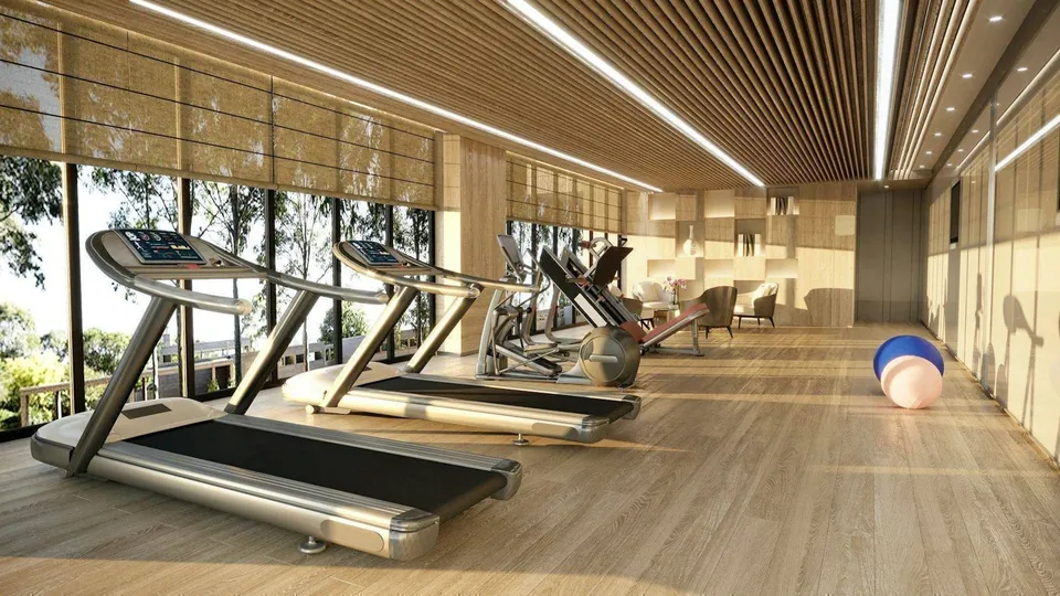 Row of treadmills facing large windows in a bright gym